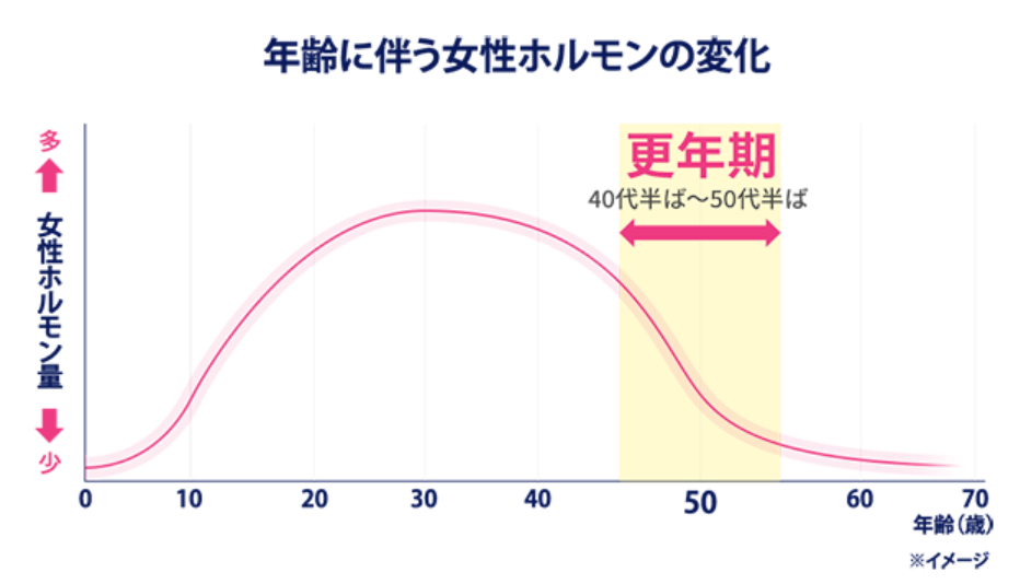 女性ホルモン（エストロゲン）　変化　図