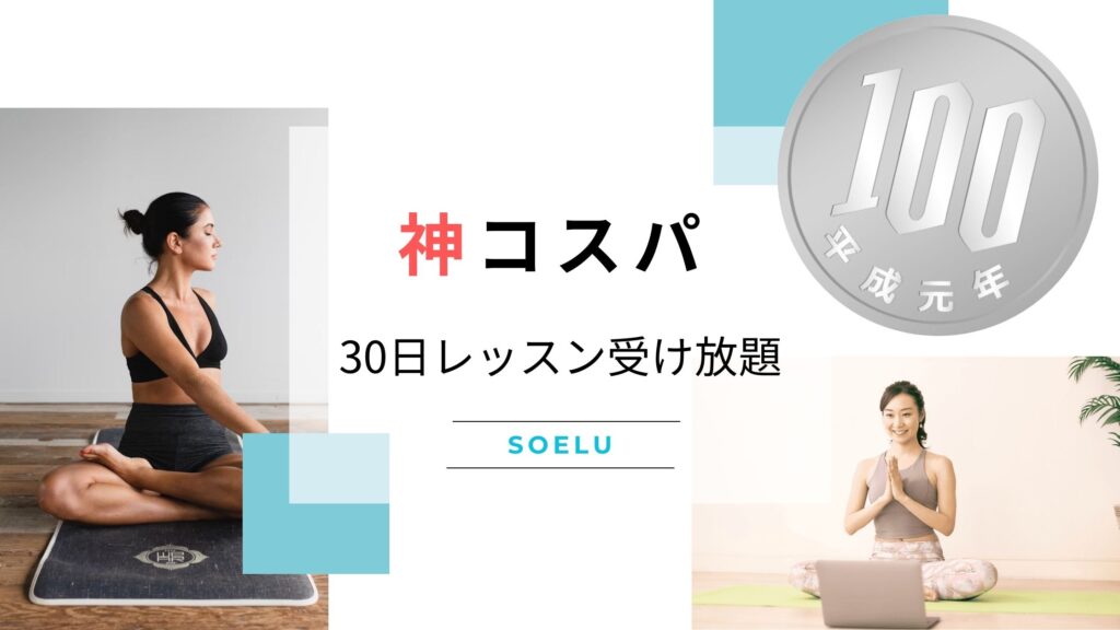 SOELU（ソエル）　100円30日　図解