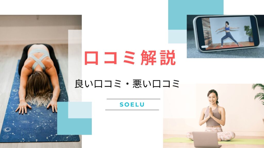 SOELU（ソエル）　口コミ　図解