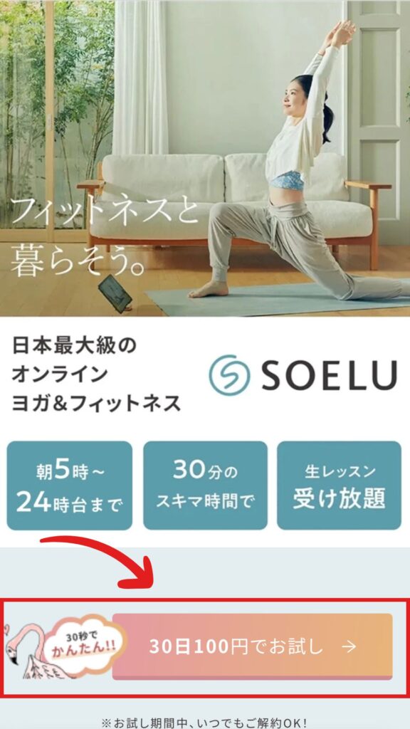 SOELU（ソエル）申し込み方法